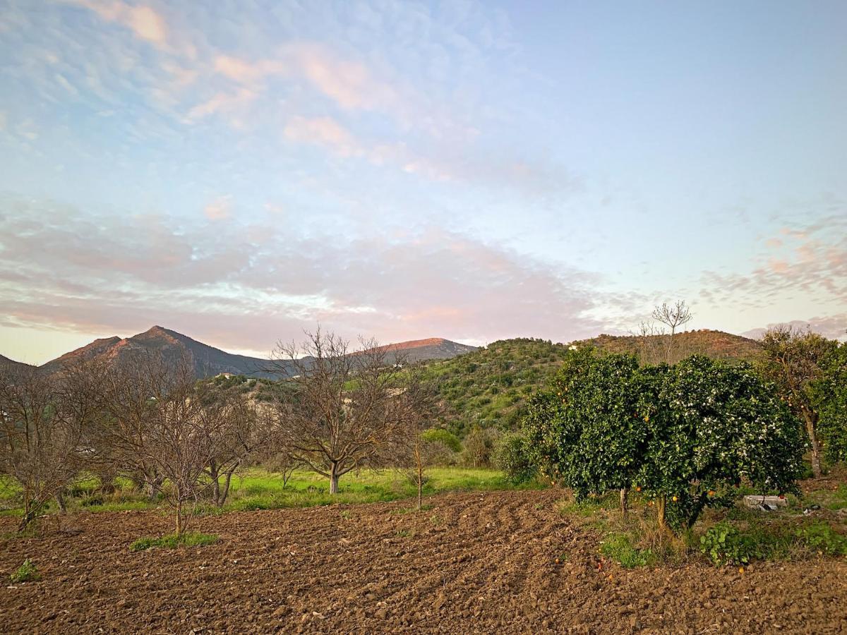 Villa Vivelorural Casa Y Piscina En Zahara De La Sierra Esterno foto